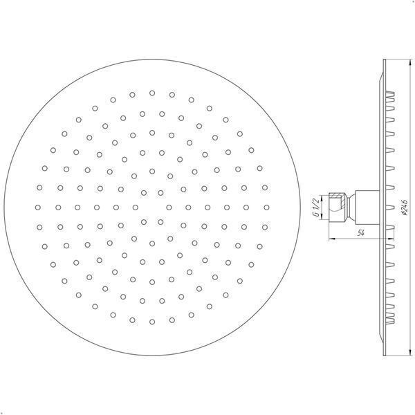 Душова лійка Globus Lux STS-0250 ТРОПИК St/ STEEL Polish 11821 фото
