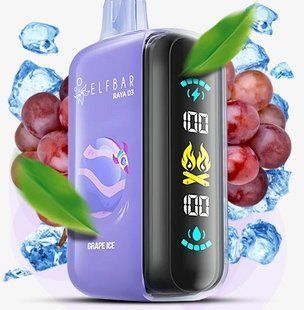 Elf Raya D3 25000 Grape Ice (Виноград Лід) 25_07 фото